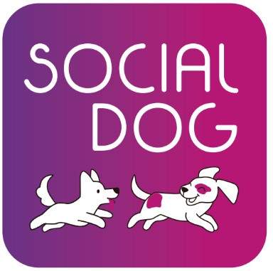 SocialDog